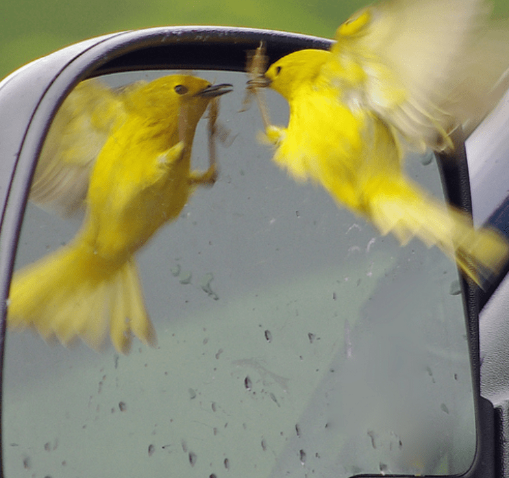 Mirror, mirror on the wall – A personal retrospective exercise